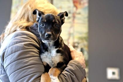 Spam — thumbnail 3