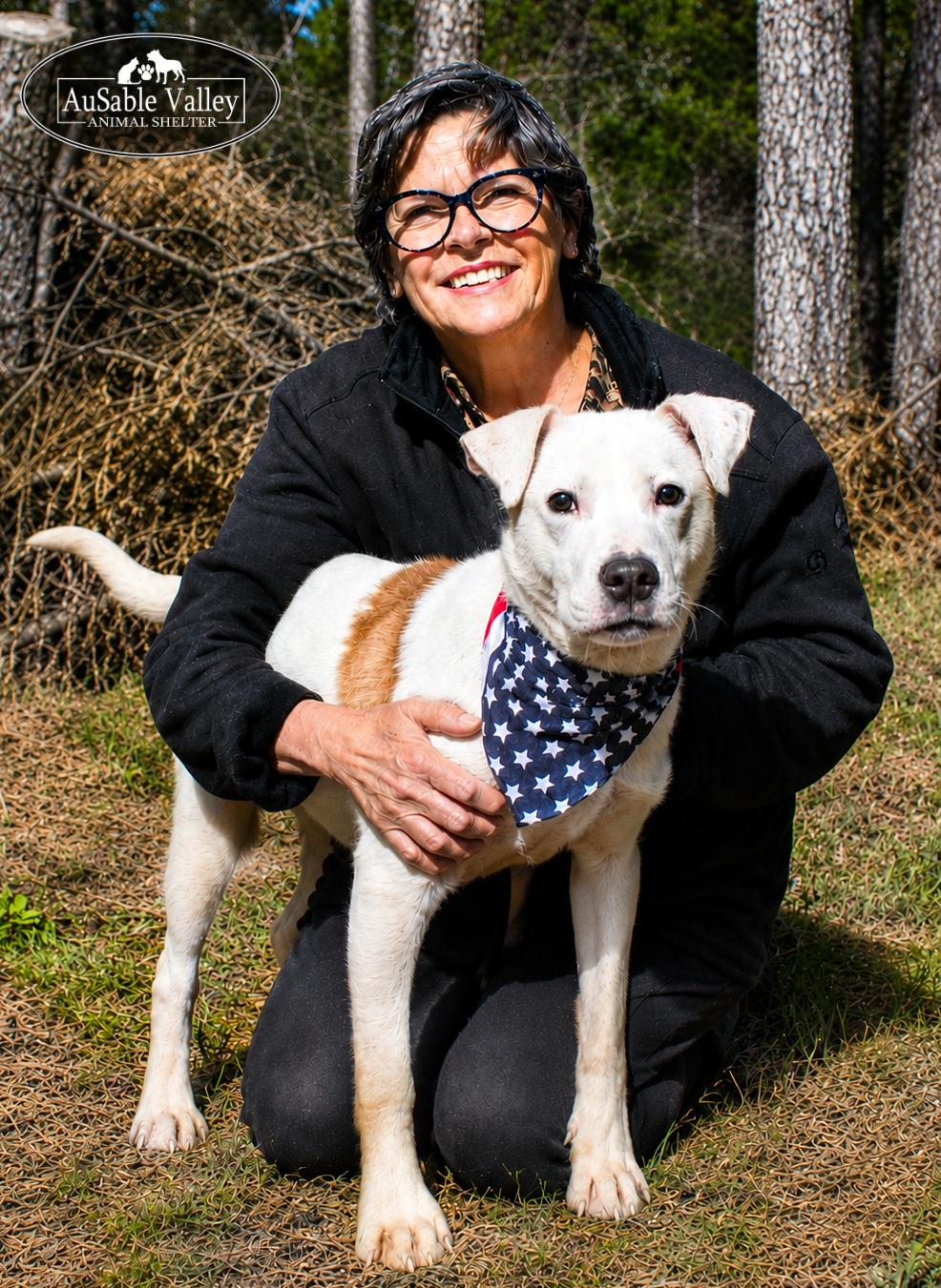 Enlarge Clyde, a ADOPTABLE mixed breed in Grayling, MI image 3/6
