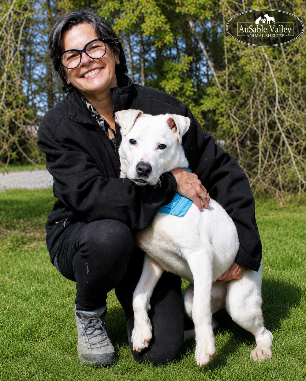 Enlarge Clyde, a ADOPTABLE mixed breed in Grayling, MI image 2/6
