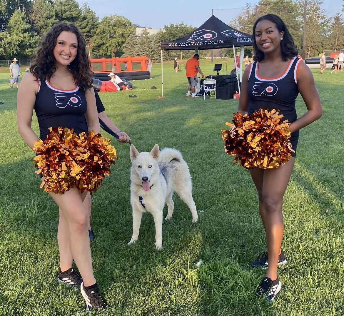 "Tooter", a Adoptable Siberian Husky in Conshohocken, PA image 3/6