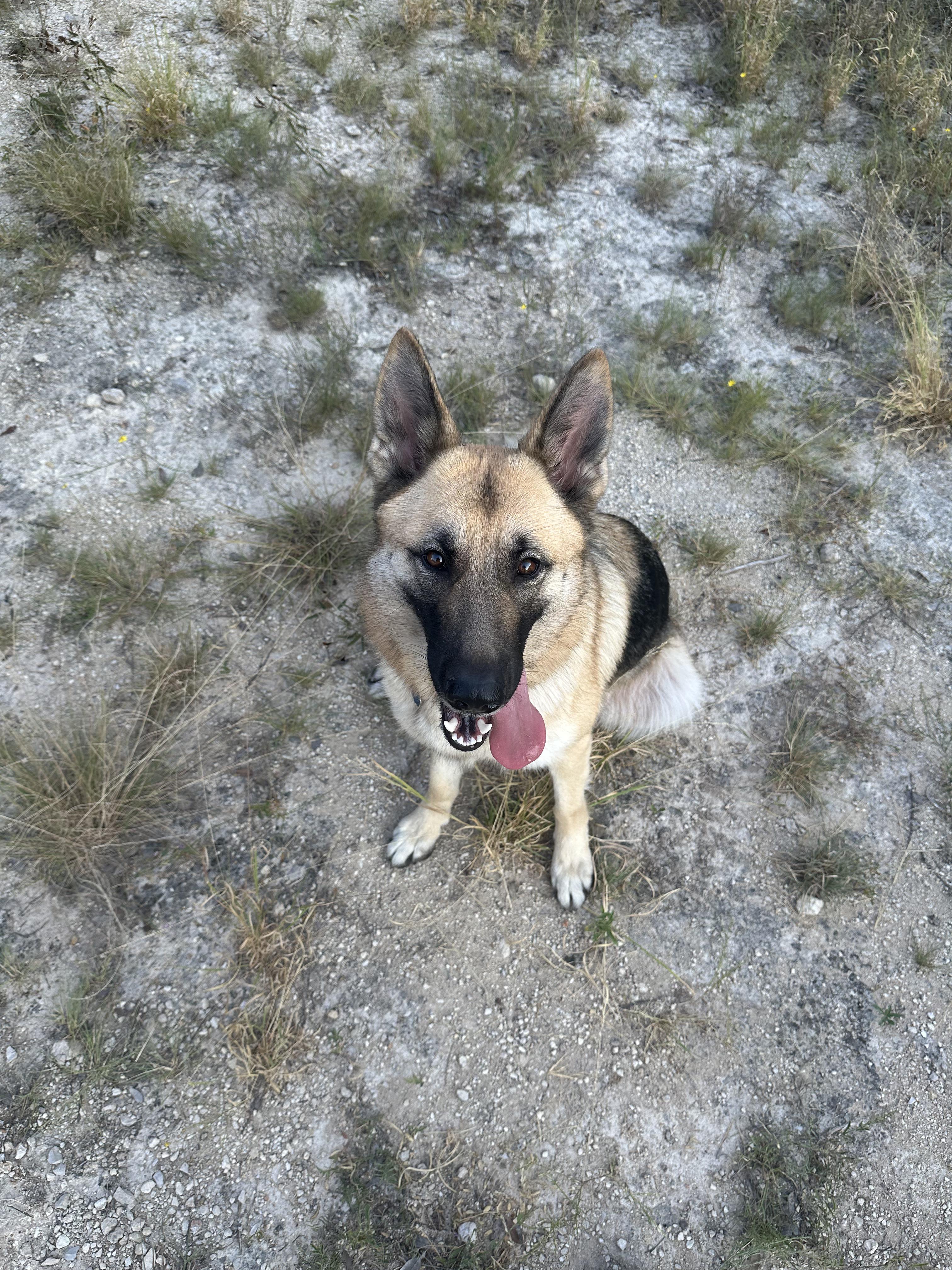 Kiya