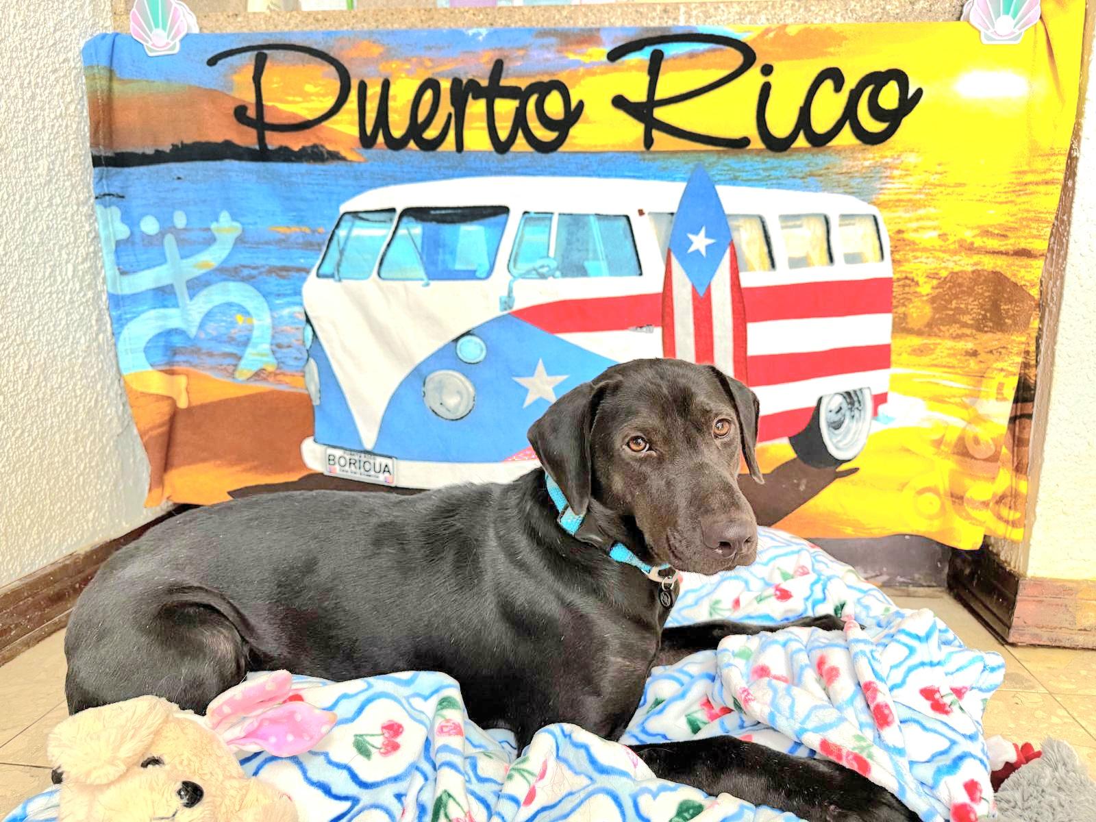 Kyle "your Loving Best thumbnail 2