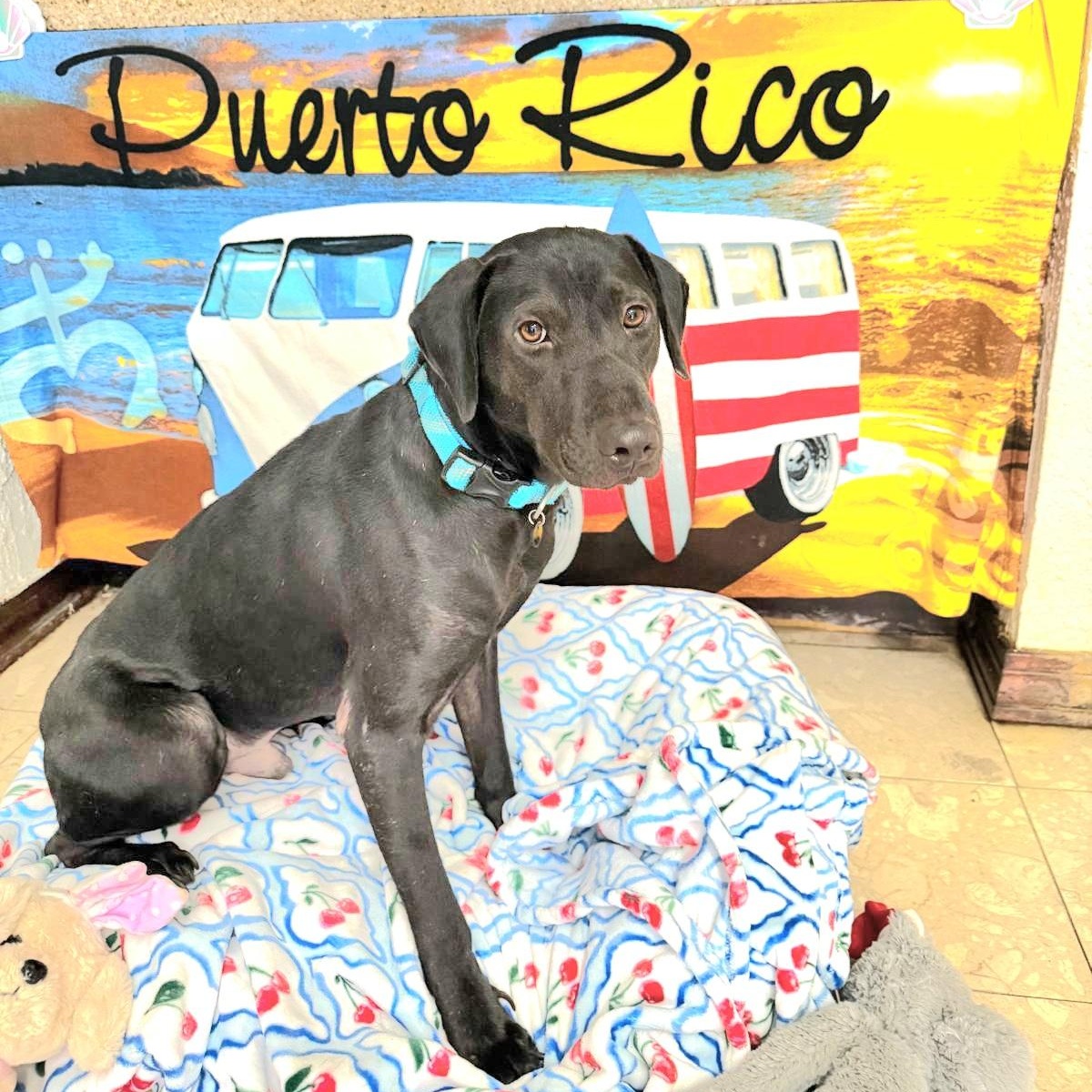 Kyle "your Loving Best thumbnail 4