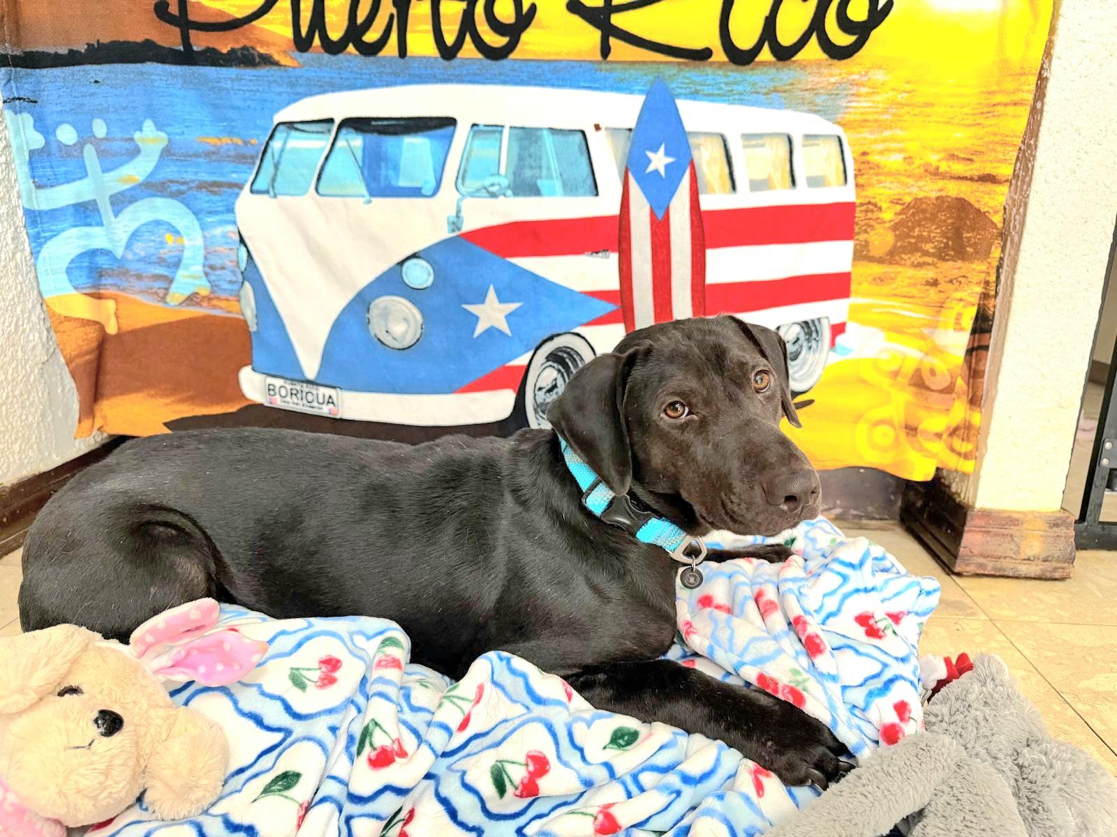 Kyle "your Loving Best thumbnail 5