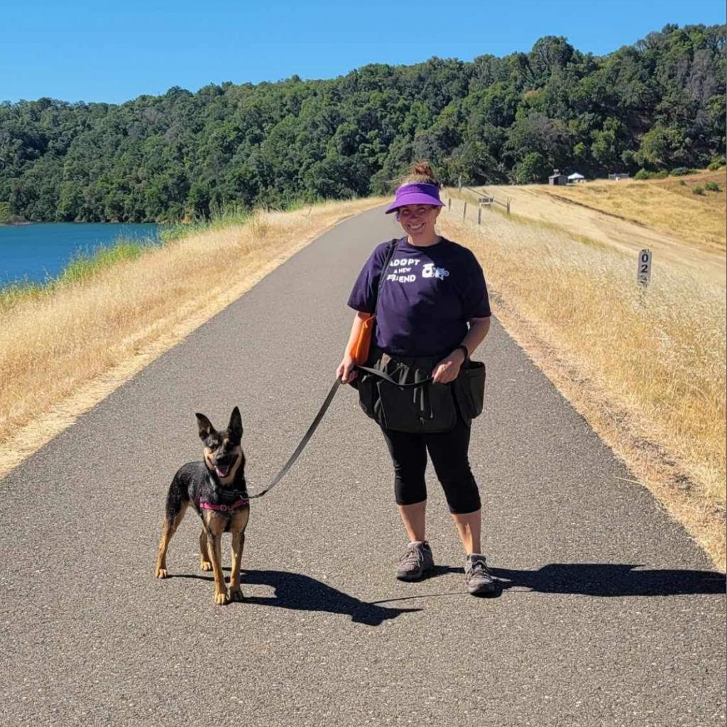 Enlarge Broder, a Adoptable Mixed Breed in Redwood Valley, CA image 3/6