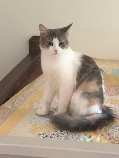 Lola