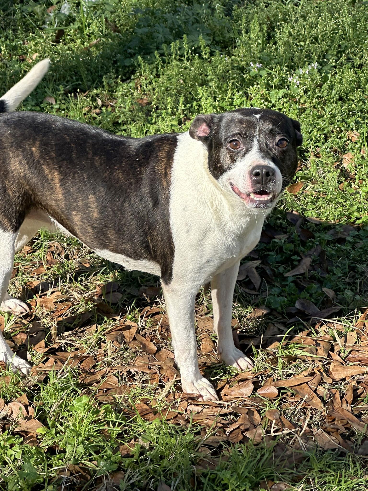 Minnie Mouse — thumbnail 2