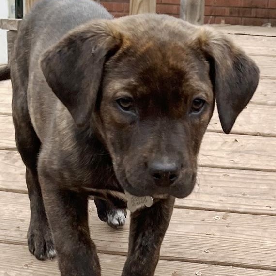 Chloe