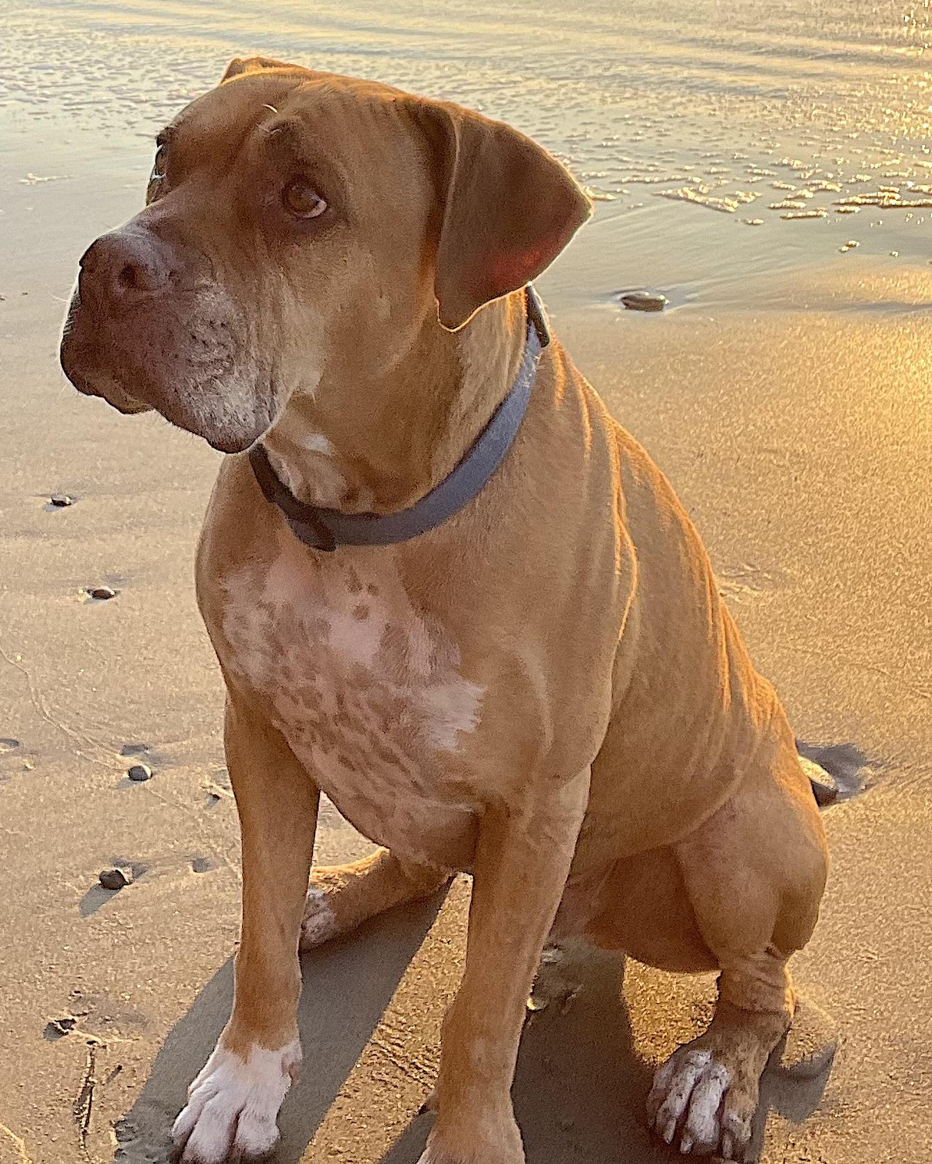 Jax photo 4