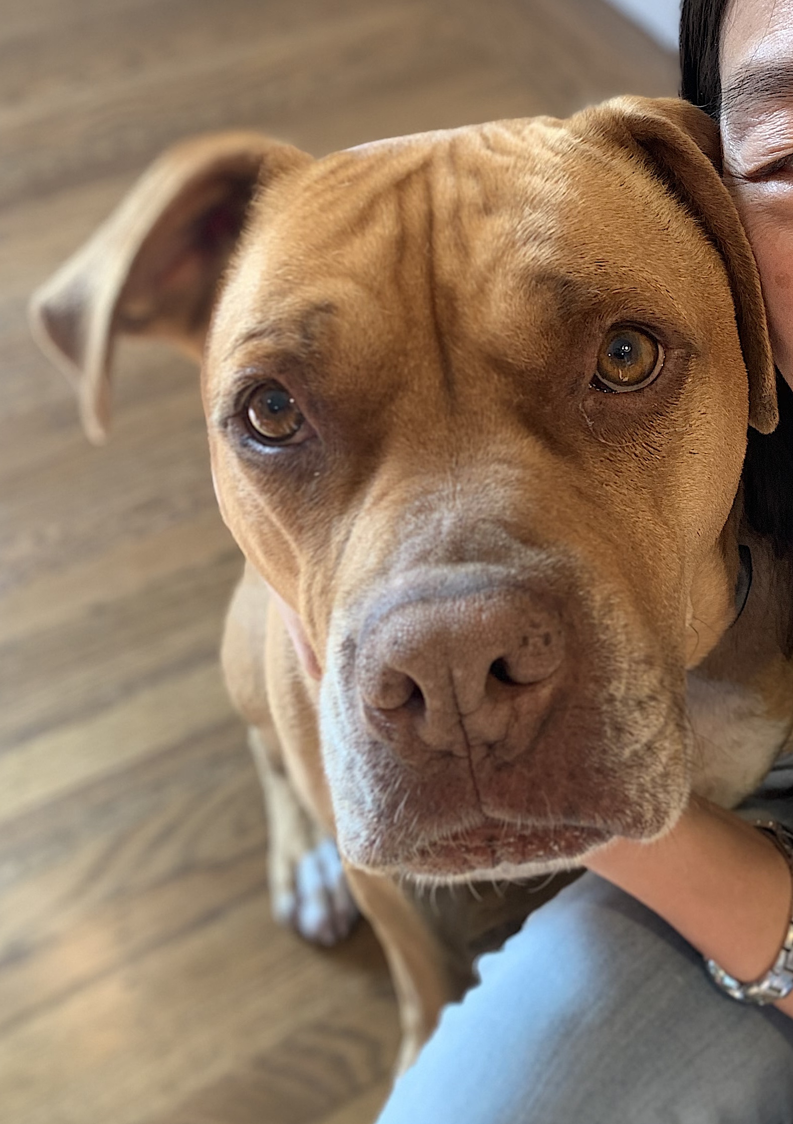 Jax