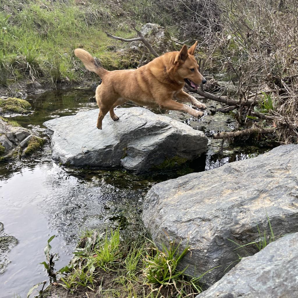 CHEYENNE — thumbnail 4