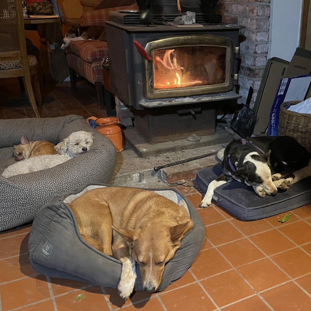 CHEYENNE — thumbnail 6