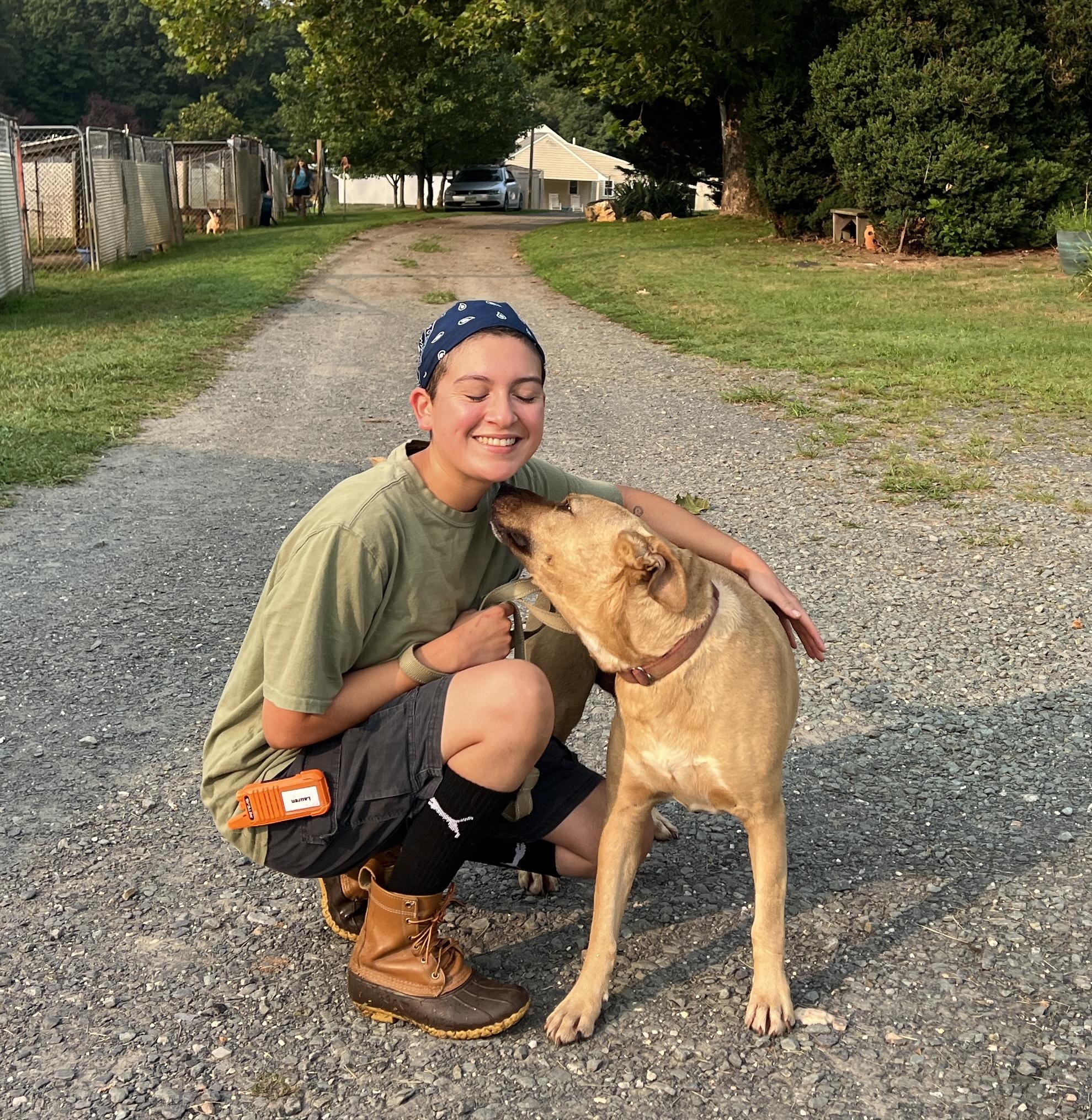 Enlarge Dusty, a Adoptable Labrador Retriever in Palmyra, VA image 6/6