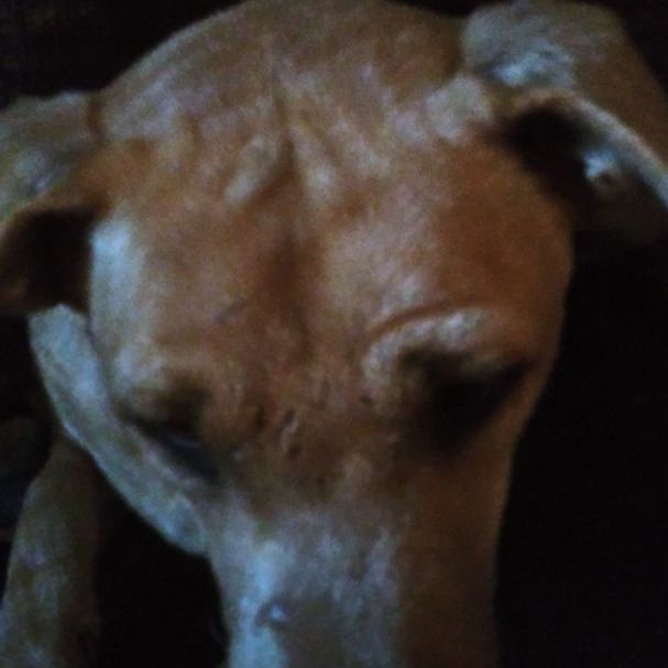 Romper — thumbnail 2