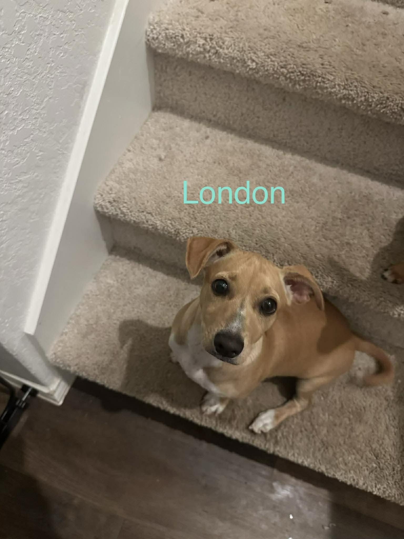 London — thumbnail 2