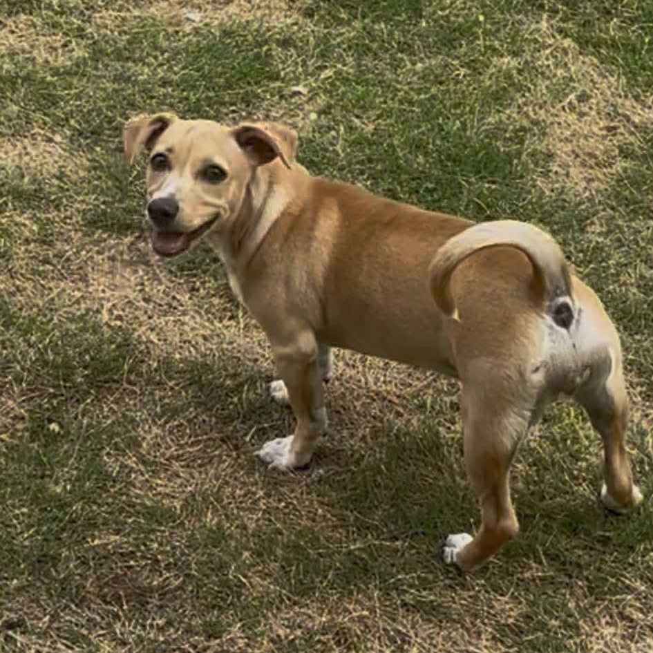 London — thumbnail 3