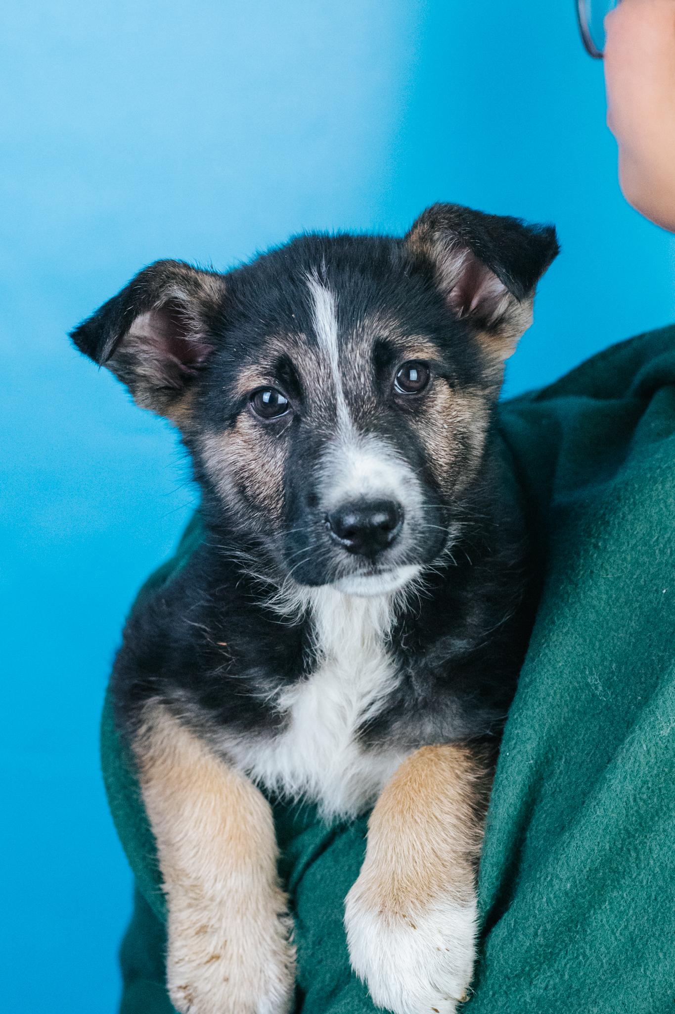 Fletcher thumbnail 2