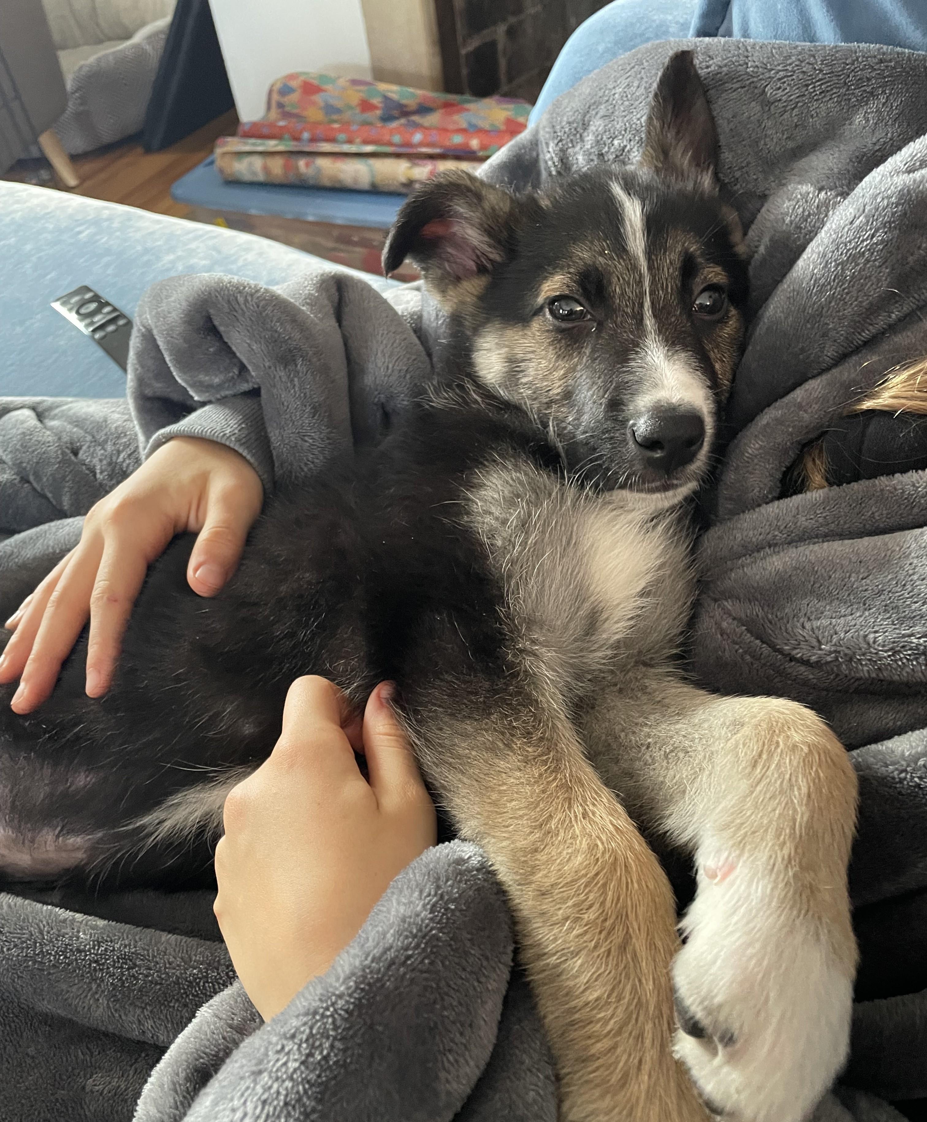 Fletcher thumbnail 4