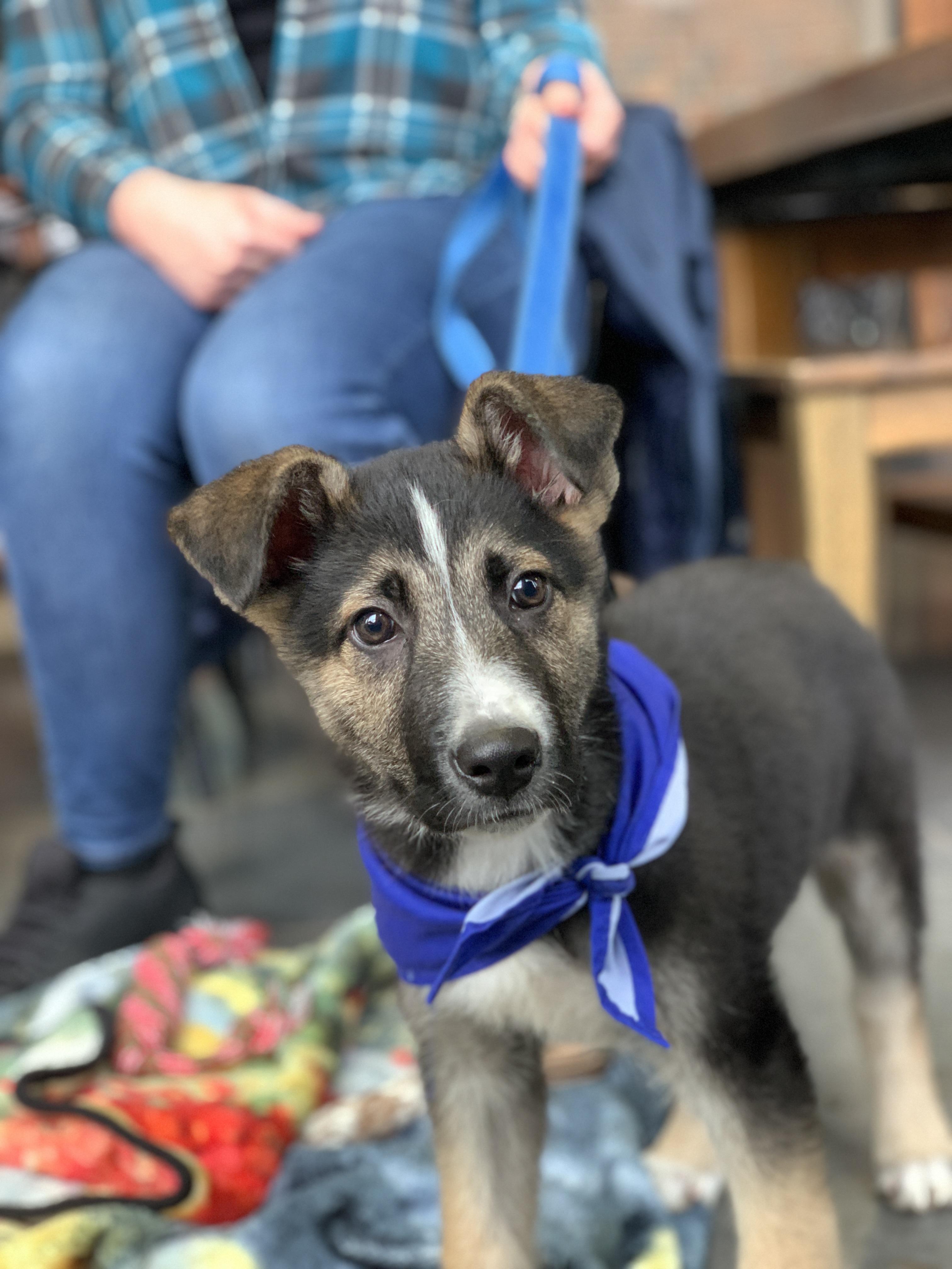 Fletcher thumbnail 6