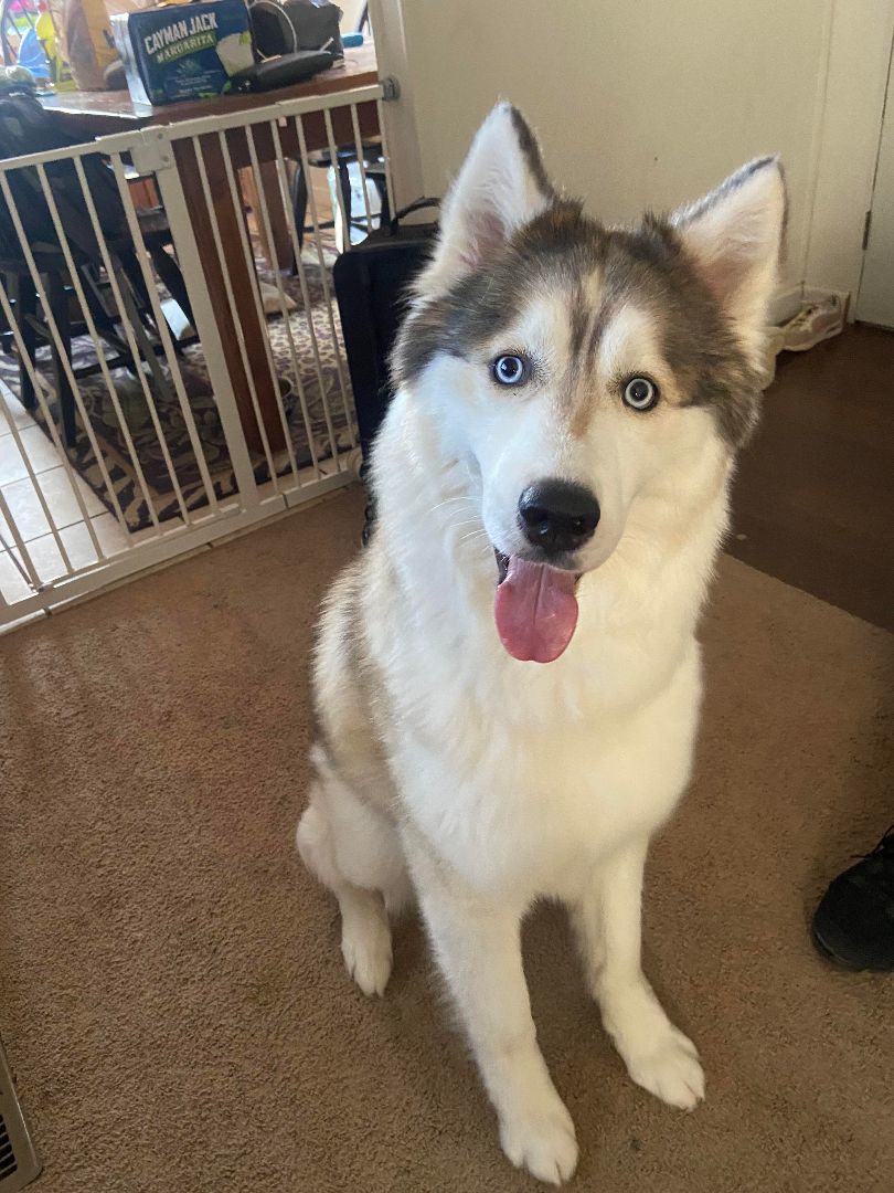 Zeus