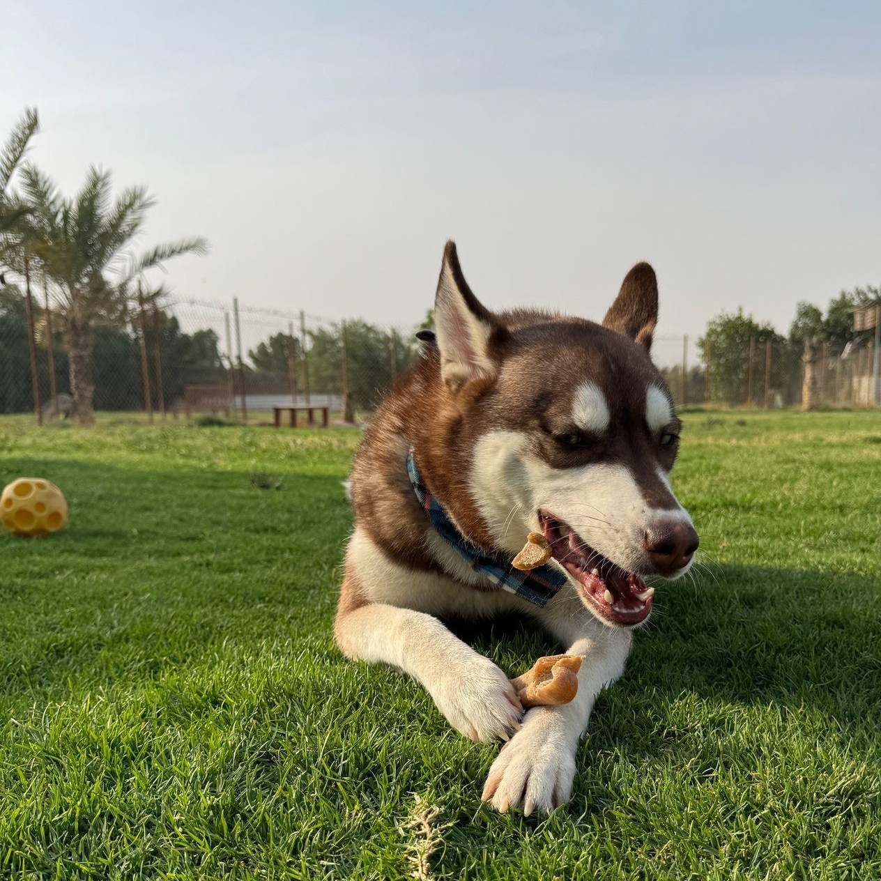 Earnest Eden from Kuwait photo 4