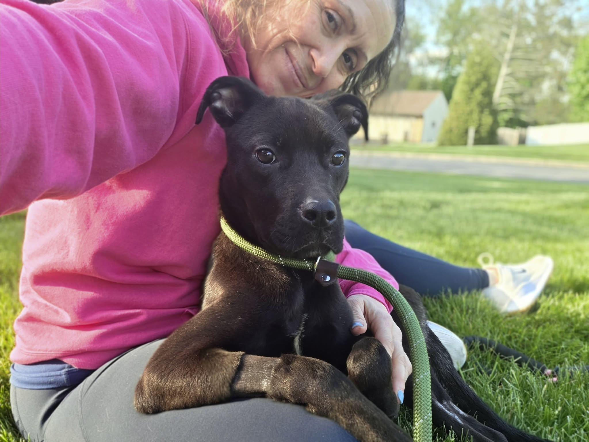 Blair, a ADOPTABLE Pit Bull Terrier in Blue Bell, PA image 4/6