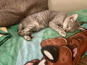 Paris, Willow Grove Area, (FCID 09/05/2025-103)