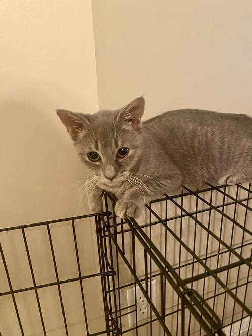 Paris, Willow Grove Area, (FCID 09/05/2025-103)