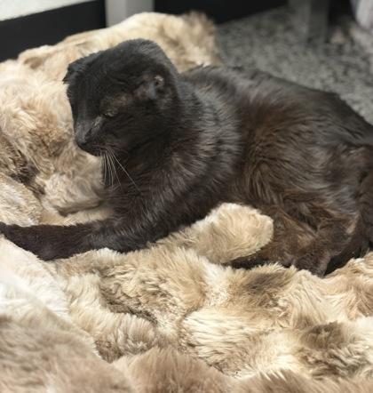 Damian — thumbnail 2