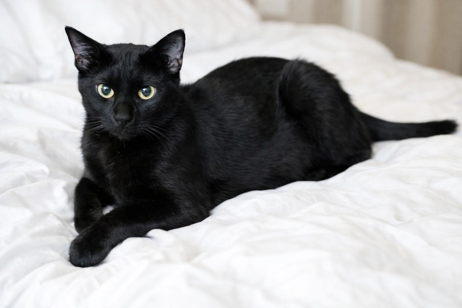 Window — thumbnail 2