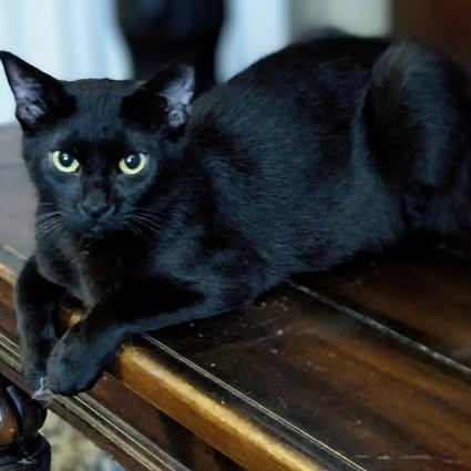 Window — thumbnail 4