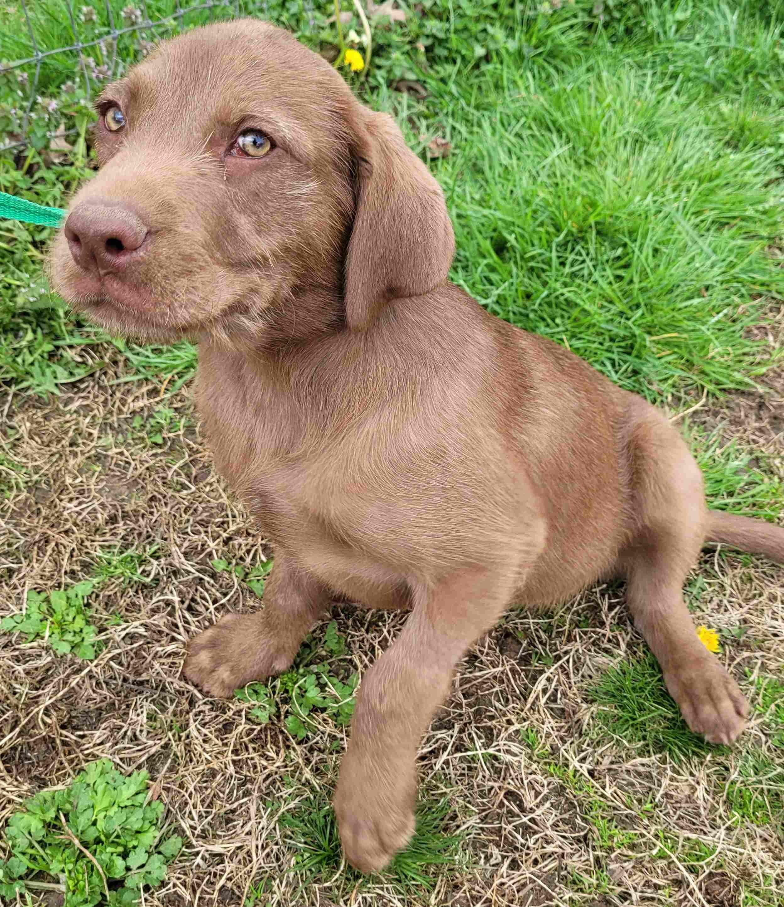 Barnaby #3 — thumbnail 5