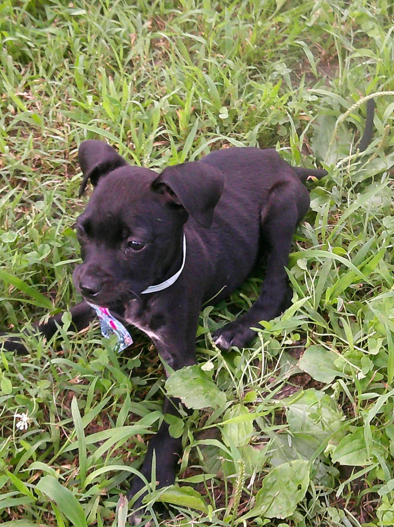 Astro