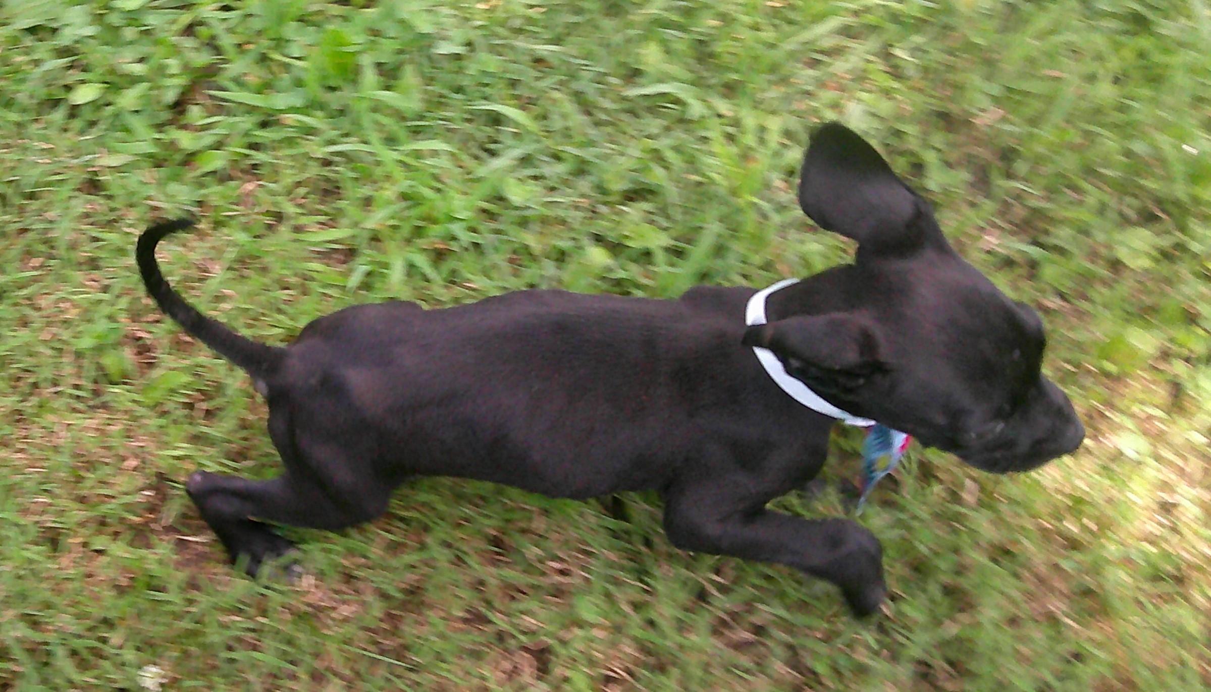 Astro