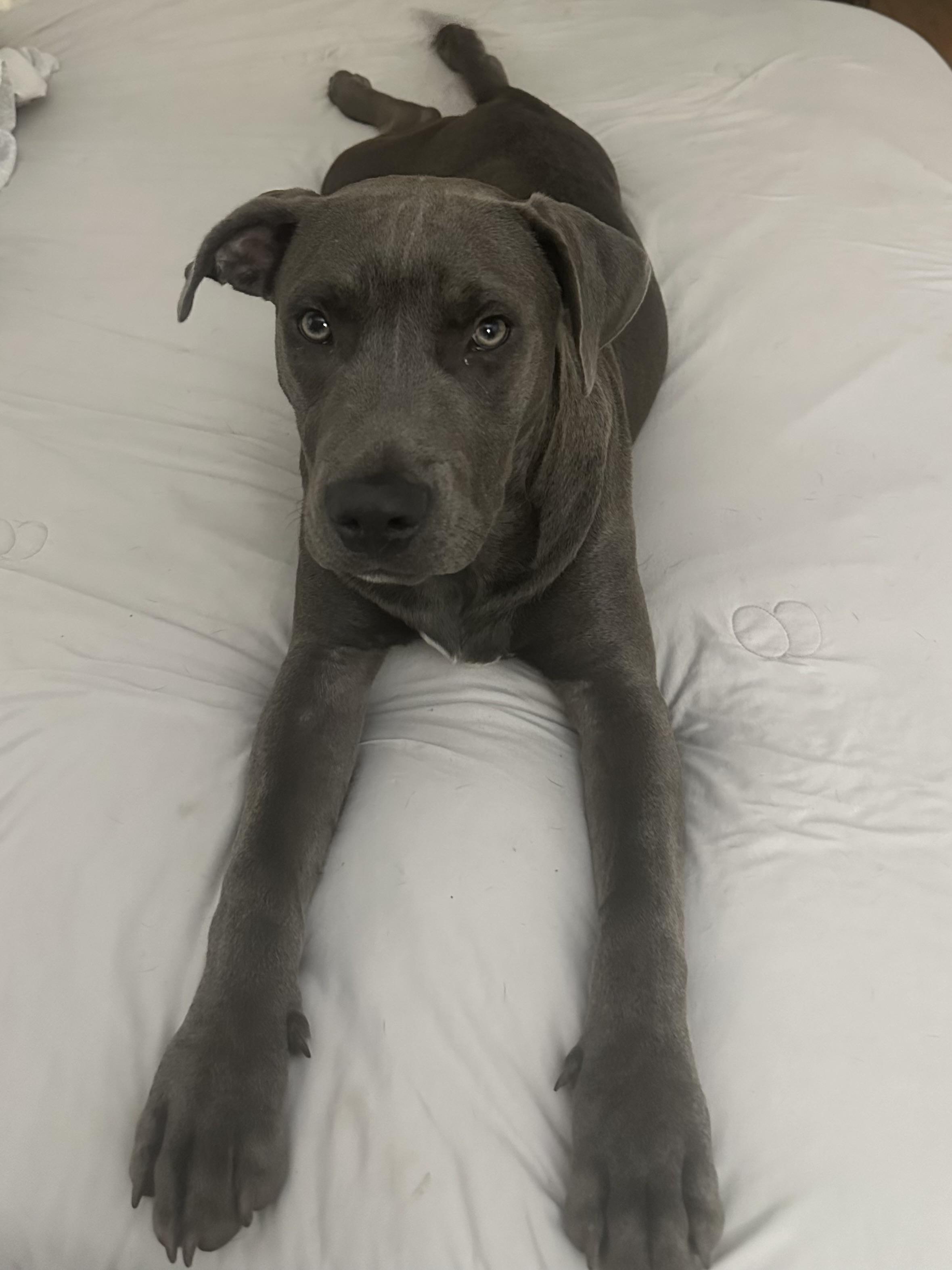 Do by — thumbnail 2