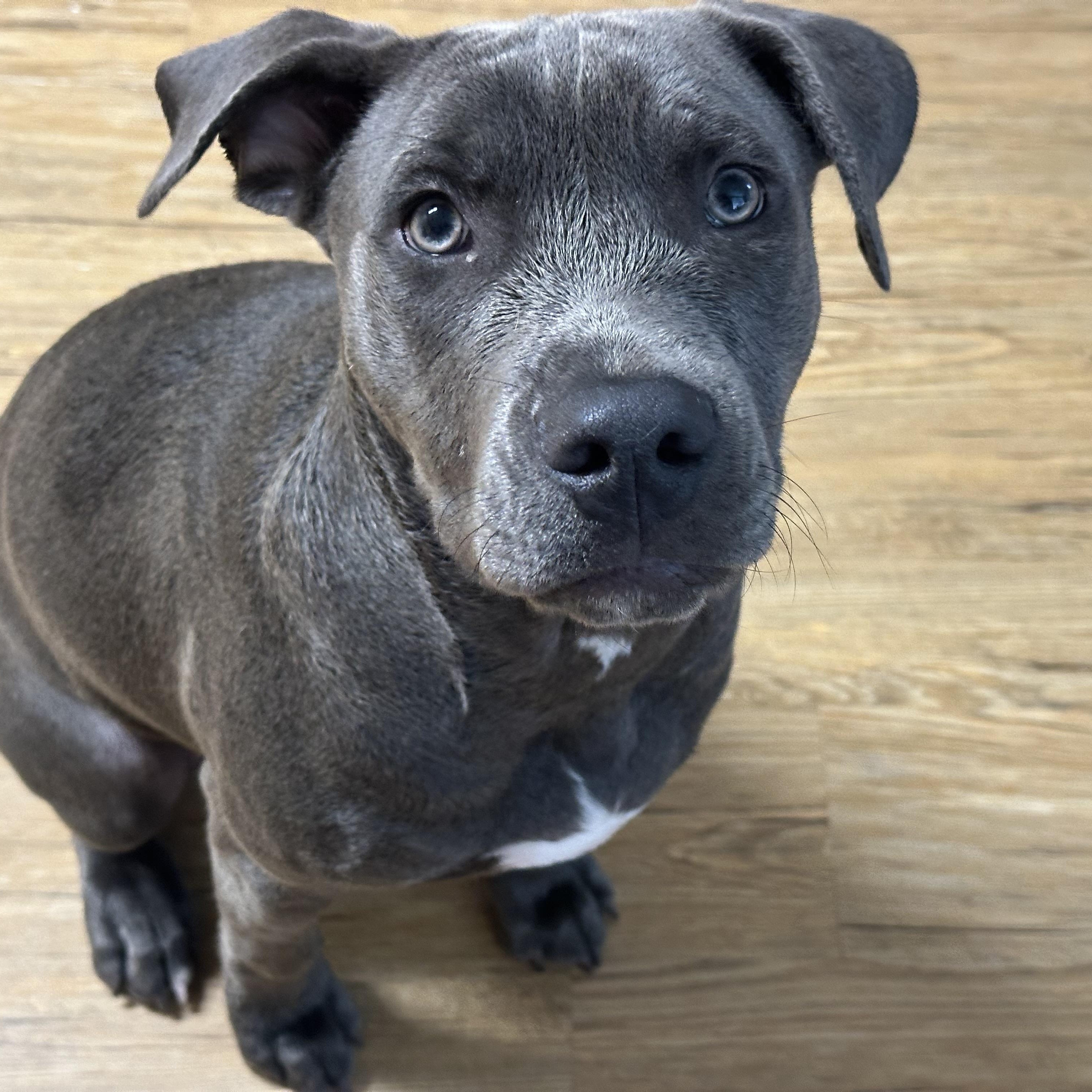 Do by — thumbnail 3