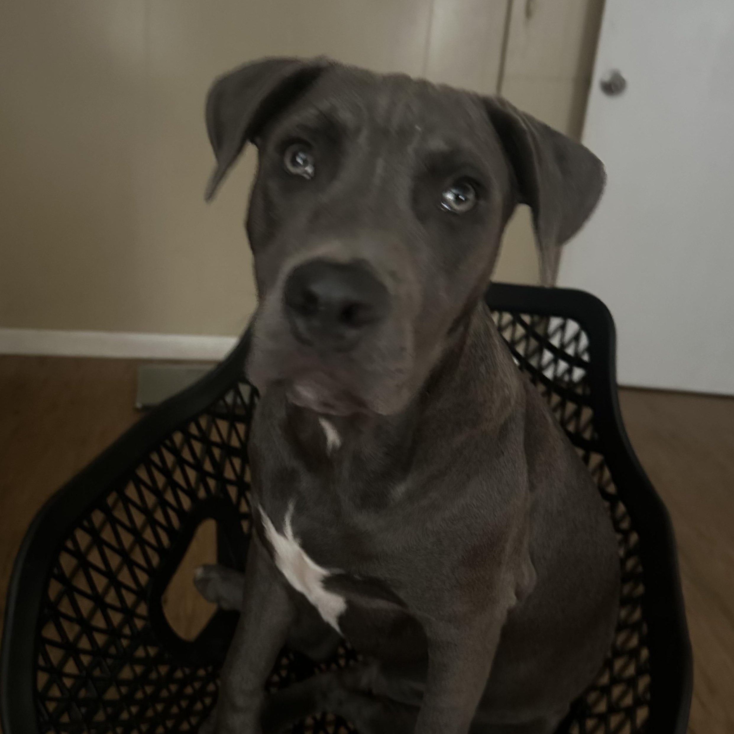 Do by — thumbnail 6