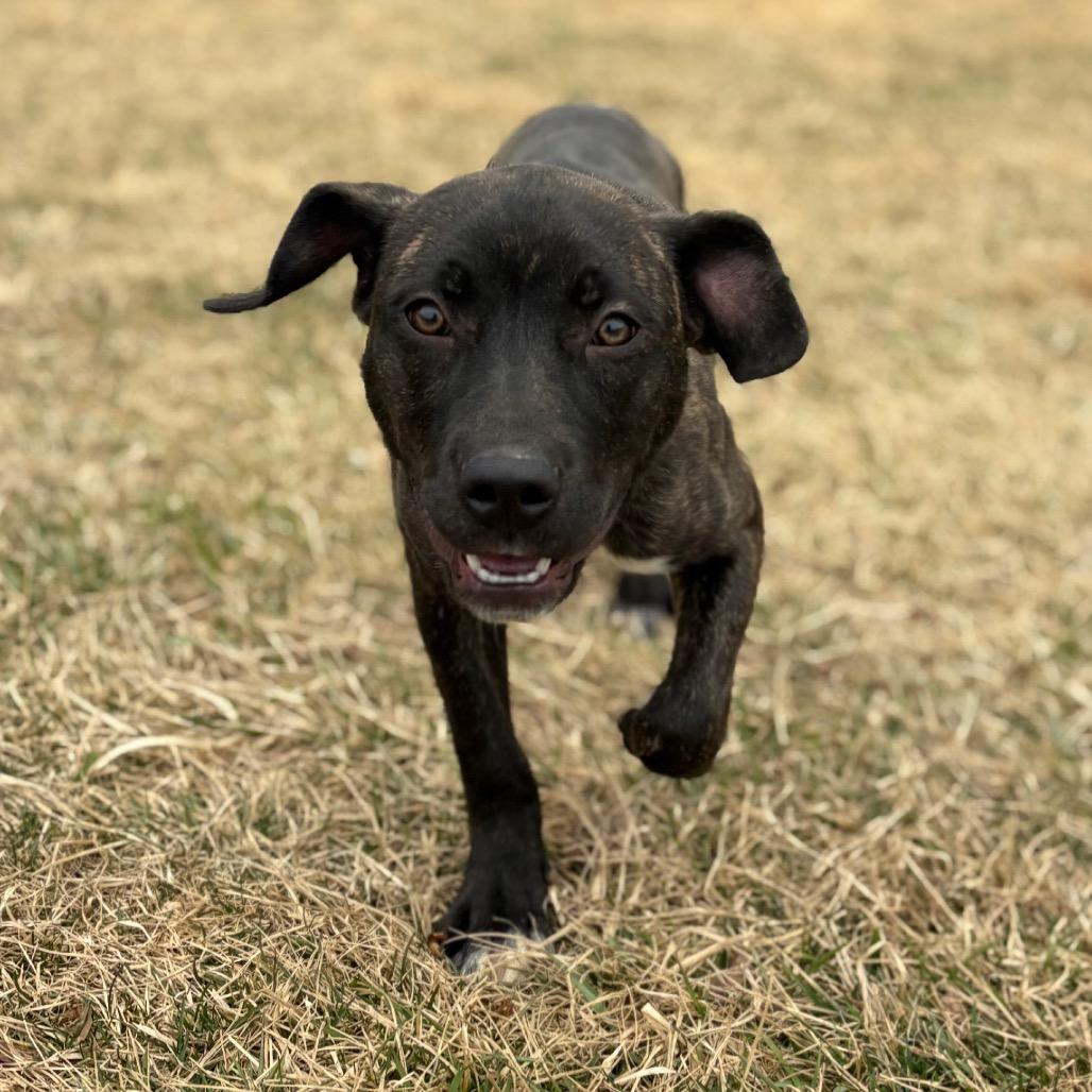 Helena — thumbnail 2