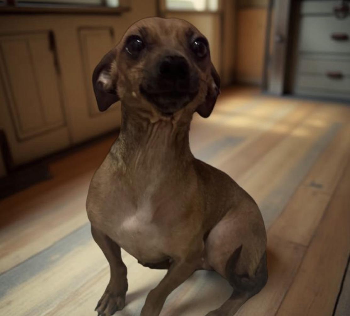 Enlarge Kitzey, a Adoptable mixed breed in Los Angeles, CA image 1/4