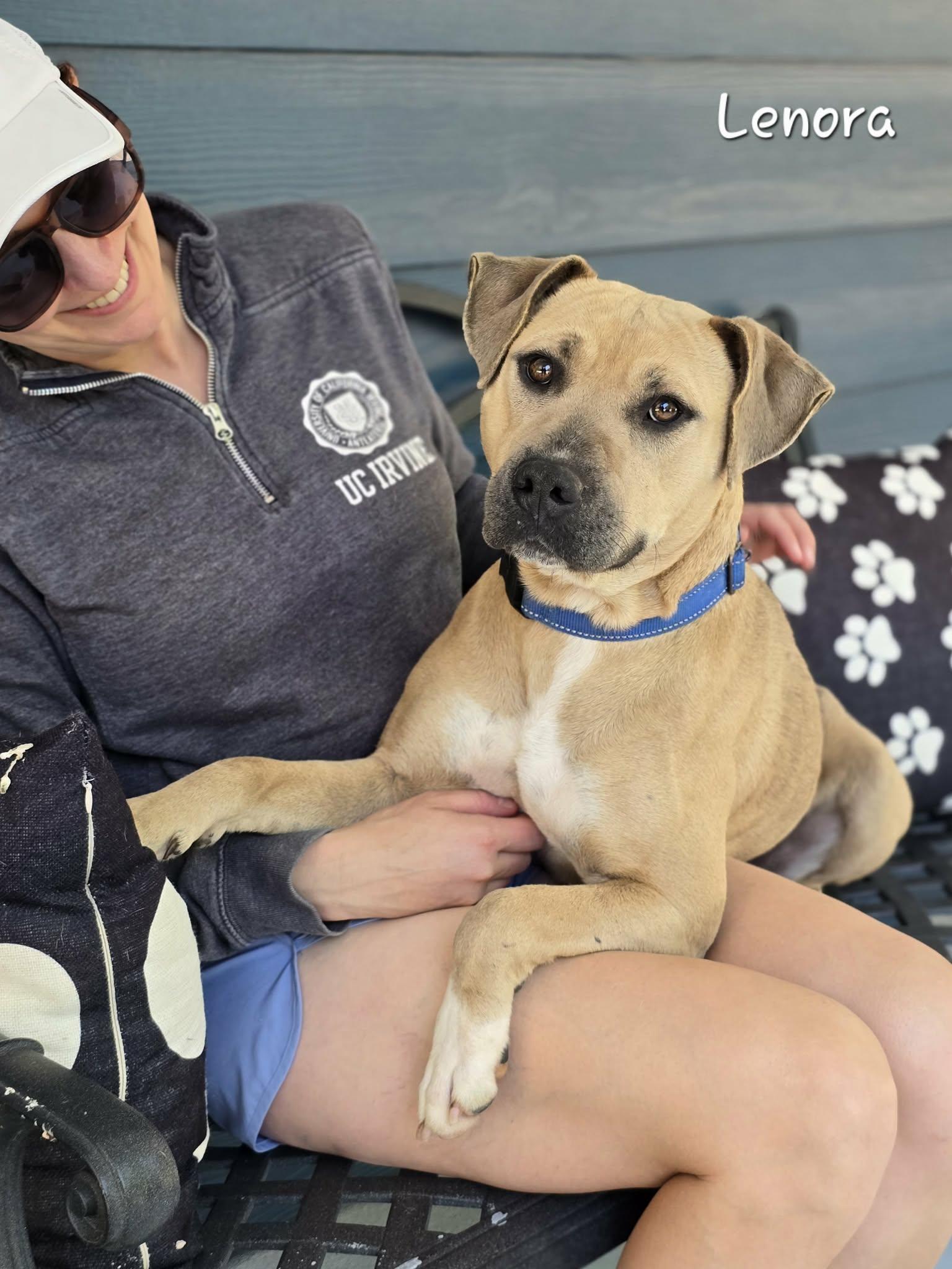 Enlarge Lenora, a ADOPTABLE Mixed Breed in Bishop, GA image 3/6