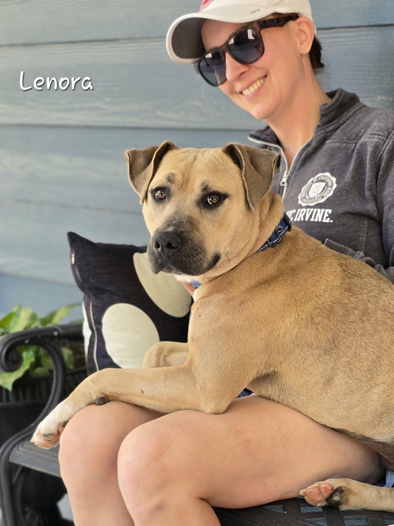 Enlarge Lenora, a ADOPTABLE Mixed Breed in Bishop, GA image 4/6