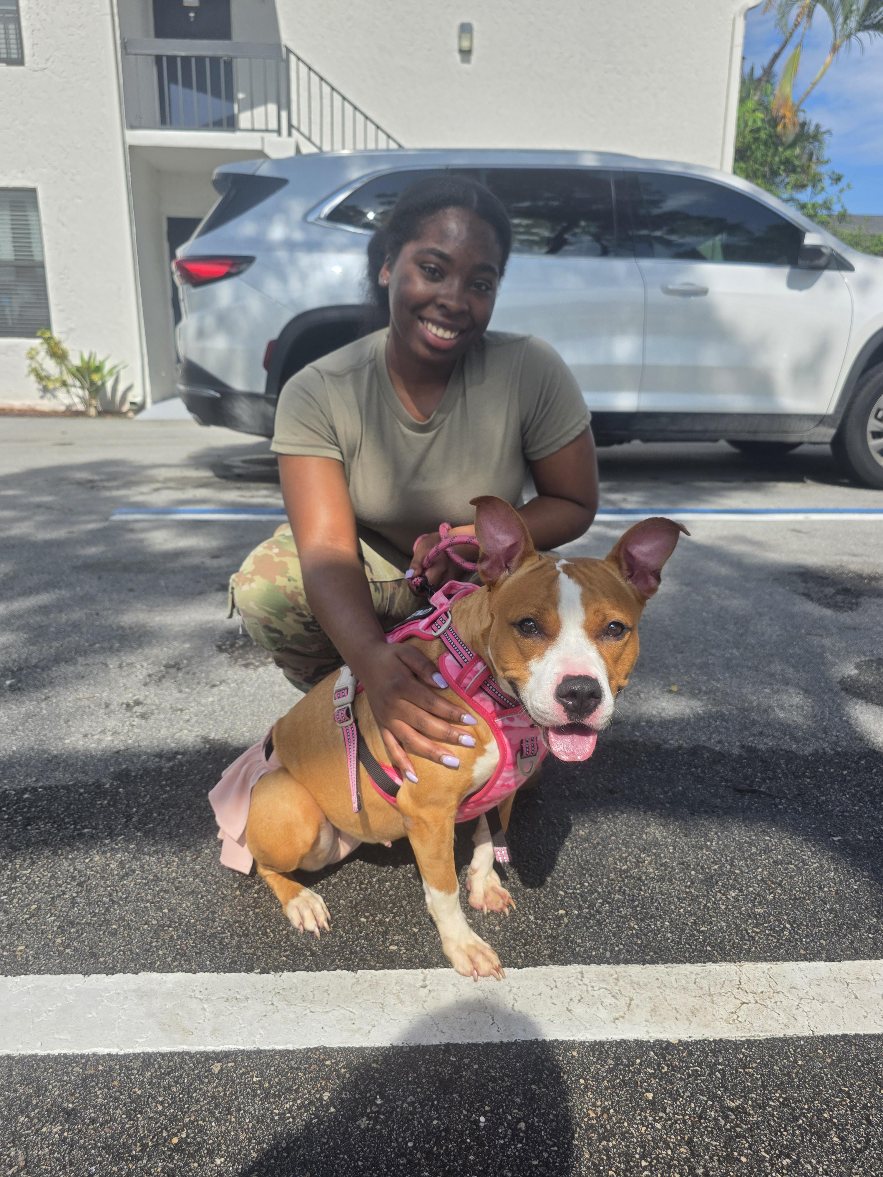 Riley, a Adoptable mixed breed in Boca Raton, FL image 2/4