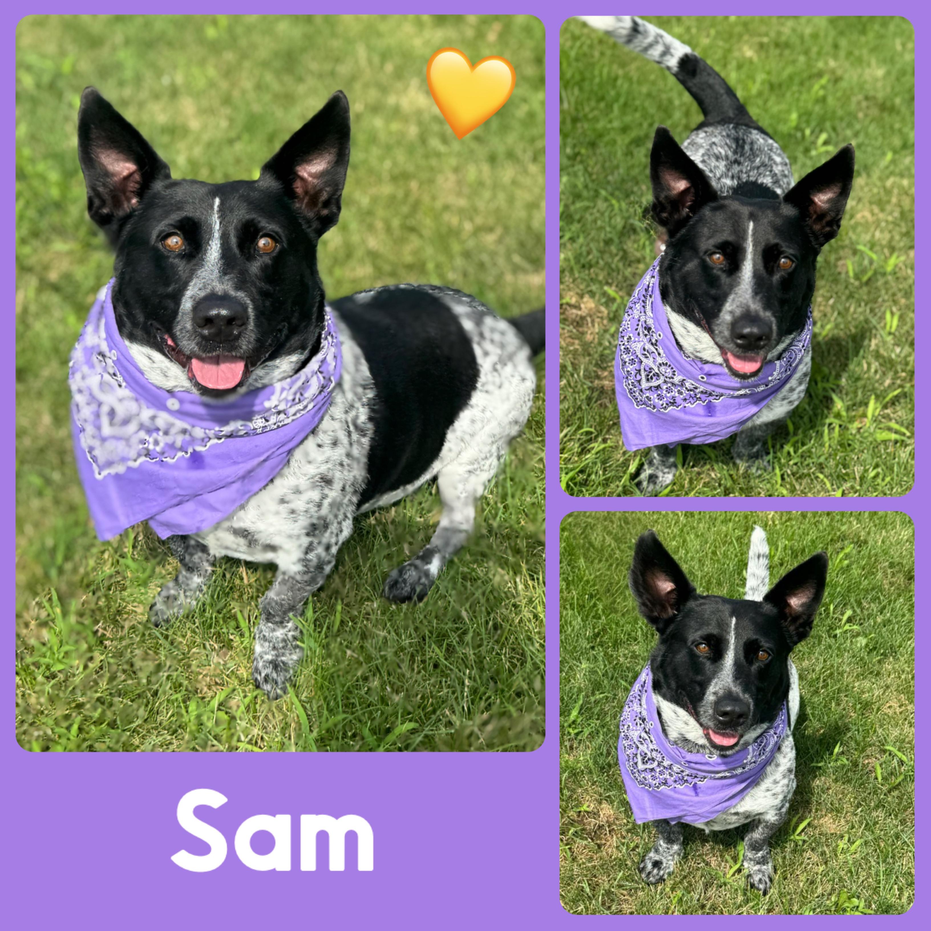 Sam