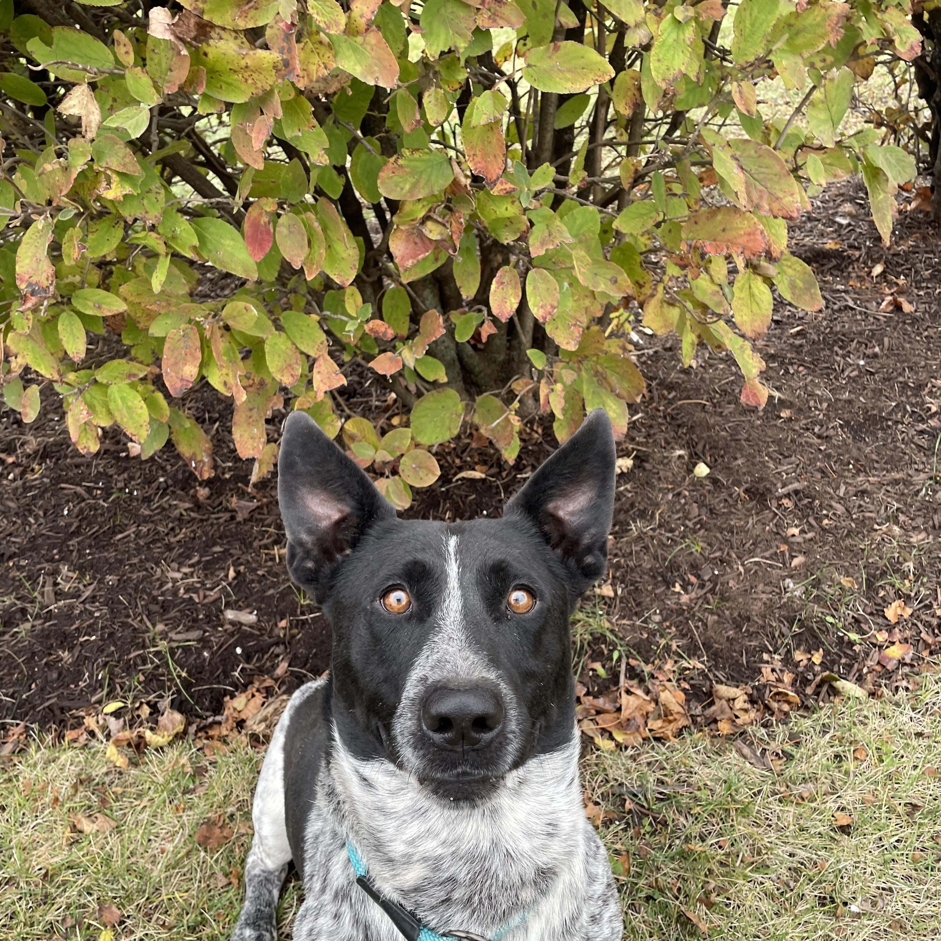 Sam photo 4