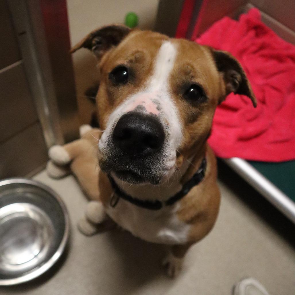 Gabrielle — thumbnail 2