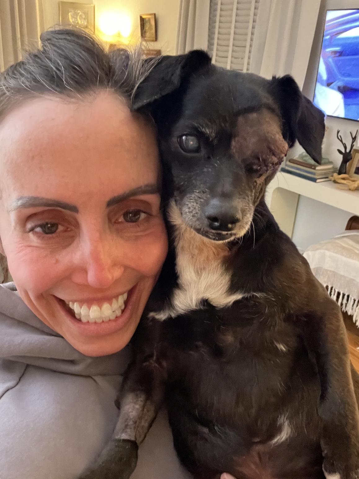 Enlarge Pip, a ADOPTABLE mixed breed in Nashville, TN image 5/5