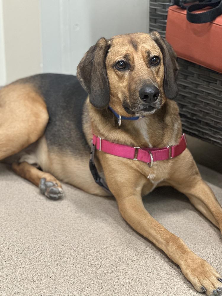 Buster Brown thumbnail 4