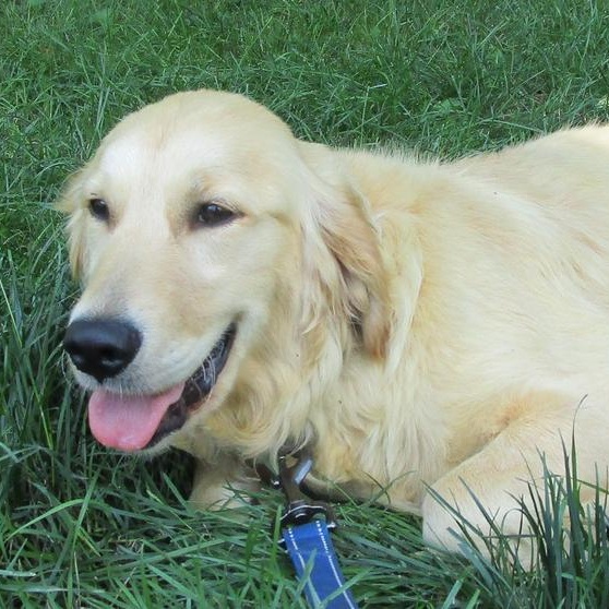 Millie photo 1