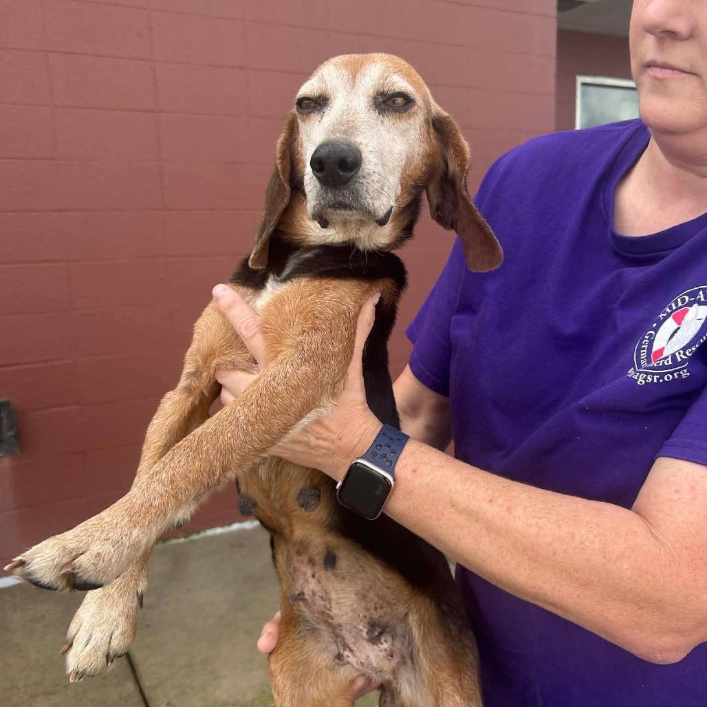 Nana Banana — thumbnail 2