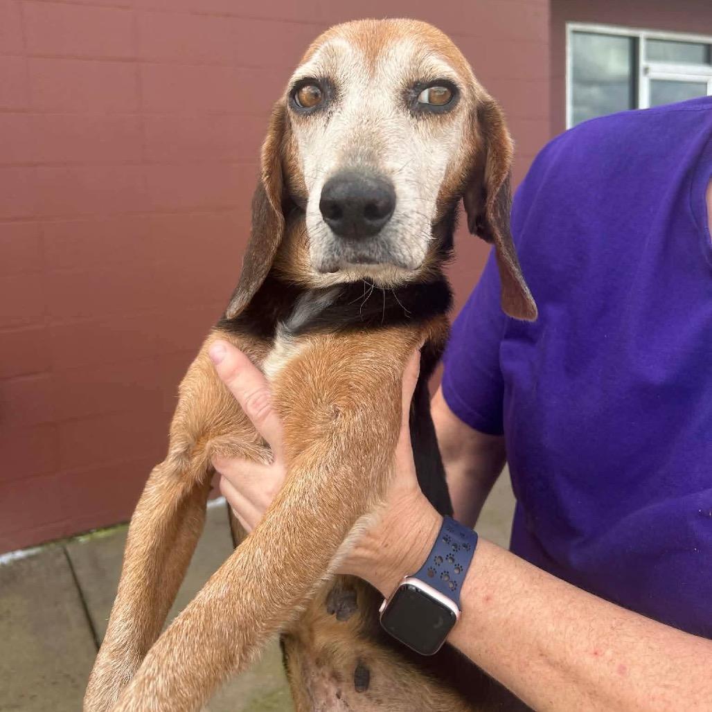 Nana Banana — thumbnail 3